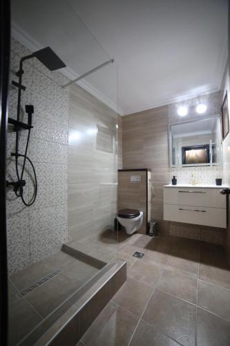 a bathroom with a shower with a toilet and a sink at La Ancuța-n Bucovina in Gura Humorului