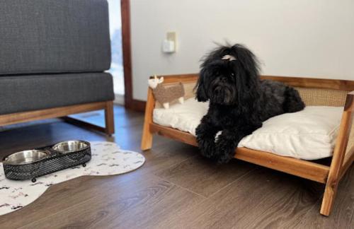 a black dog sitting on a bed in a room at Kintla Ridge At Switchback Suites in Kalispell