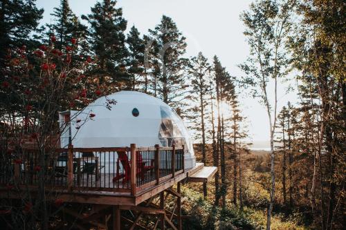 a dome tent on a wooden platform in a forest at Domes Rocher Percé at Domaine Renard in Perce