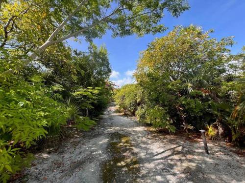 a dirt road with trees and bushes on it at Wonderful Winding Bay in Tarpum Bay