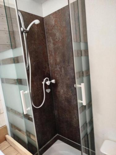 une douche avec une porte vitrée dans une salle de bain dans l'établissement Résidence Betelgeuse - Studio cabine 3 personnes exposé Ouest MAE-8264, à Valloire