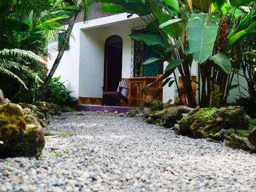 a garden in front of a house with a chair at Cabinas Tito in Cahuita