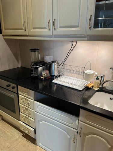 - un comptoir de cuisine avec un étendoir à vaisselle dans l'établissement Appartement à Levallois, à Levallois-Perret