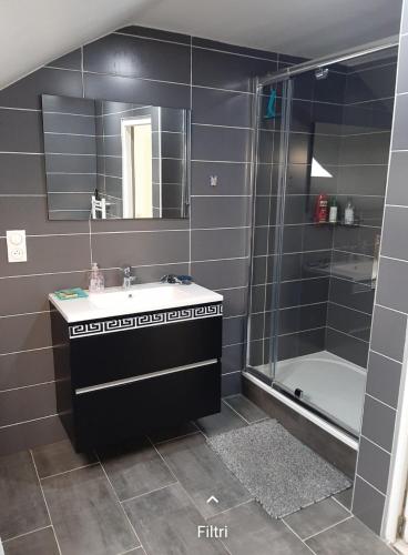 une salle de bain avec un lavabo et une douche dans l'établissement Chanel House, à Nilvange