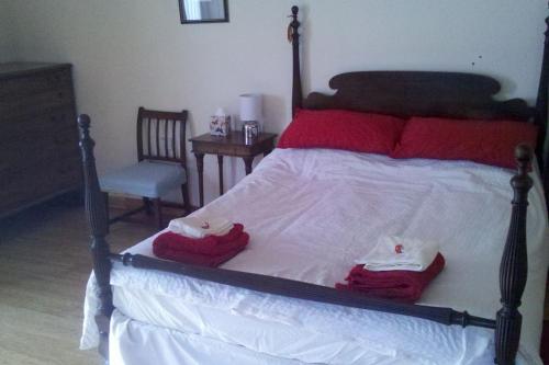 アラプールにあるTaigh Sona easy access apartment with double bedのベッドルーム1室(赤い枕と椅子付きのベッド1台付)