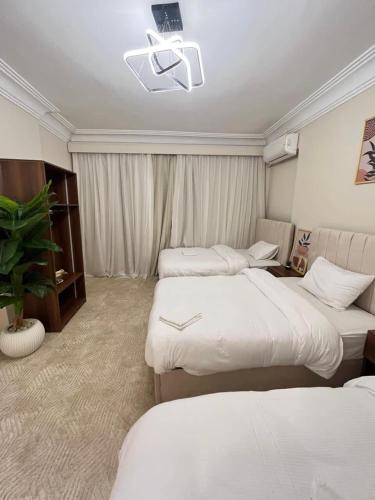 una camera d'albergo con tre letti e una pianta di Zamalek Taha Hussein open view a Il Cairo