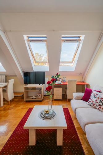 Vukov Park apartmentsにあるテレビまたはエンターテインメントセンター