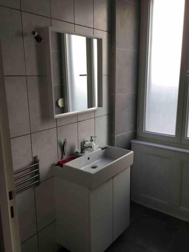 une salle de bain avec un lavabo blanc et un miroir dans l'établissement Studio 30m2 à deux pas du centre-ville de Mulhouse, à Mulhouse