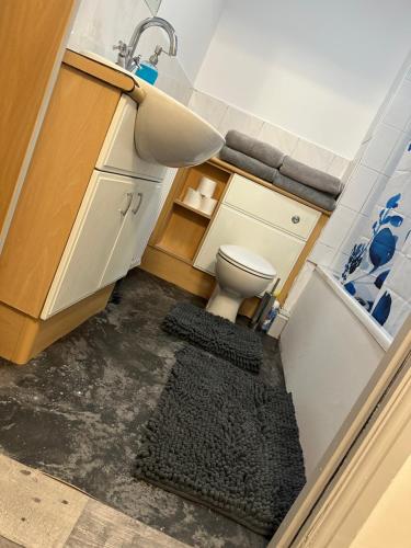 ein kleines Badezimmer mit Waschbecken und Toilette in der Unterkunft Cozy Apartment in Edinburgh