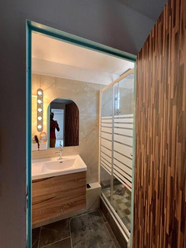 a bathroom with a sink and a shower and a mirror at Appartement confortable à Ducos, 55 m² avec terrasse in Ducos