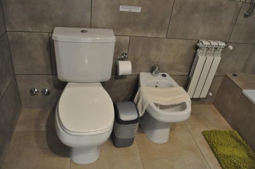 a bathroom with a toilet and a sink at Aparts Merkaba in El Chalten
