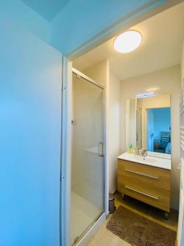 une salle de bain avec une douche en verre et un lavabo dans l'établissement VILLA VUE LAC -3 chambres jardin-proche du lac et du Centre-ville , 2 places parking, à Mouxy