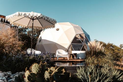 Zahrada ubytování The Disco Domes