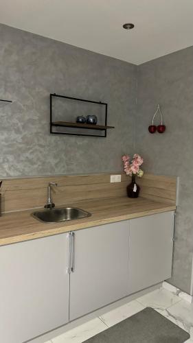 - une cuisine avec évier et comptoir fleuri dans l'établissement Lescapade, à Luxeuil-les-Bains