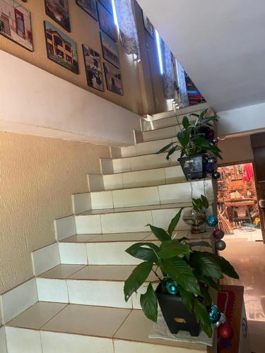Puerto Presidente FrancoにあるPASAPORTE HOSTELのギャラリーの写真