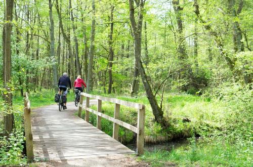 two people riding bikes on a bridge in the woods at MueritzAusblick - Altstadtidyll mit Hafenblick in Waren