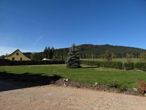 a dog is standing in a field of grass at Vlčí Jámy in Lenora