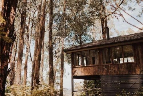 a cabin in the woods with trees in the background at Forest Retreat in Upwey