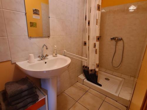 a bathroom with a sink and a shower at Gîte et camping à la ferme avec espace détente - Profitez de la campagne du Berry - FR-1-591-558 in La Berthenoux