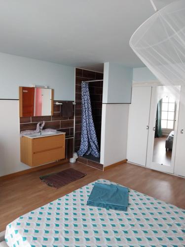 a bedroom with a bed and a sink and a mirror at HORIZON 180° in Le Bois de Nèfles