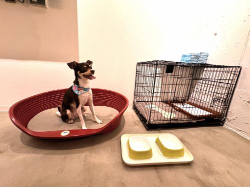 a small dog sitting in a red dog bed at Riverside Arashiyama in Kyoto