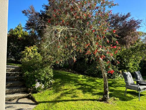 a bench sitting next to a tree with red flowers at Private Guest Suite in Mapua