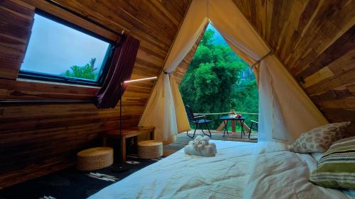 Giường trong phòng chung tại Mimosa Backpackers Hostel