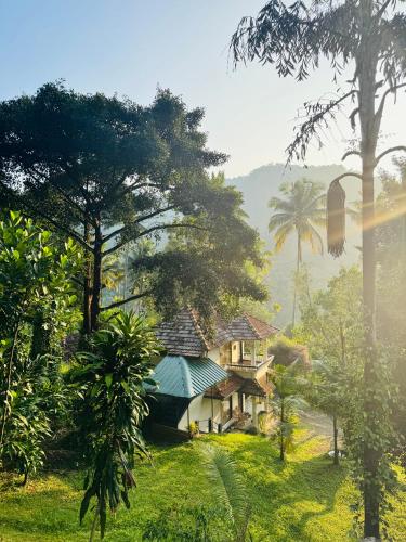 a house in the middle of a field with trees at Thoppil Homestay Munnar in Munnar