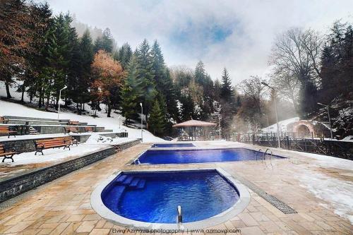Der Swimmingpool an oder in der Nähe von Borjomi inn Cottages