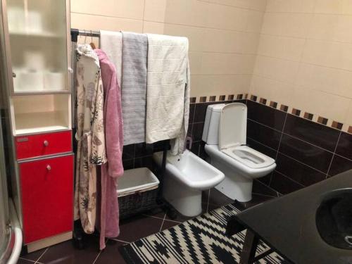 SaukにあるTirana Perlaのトイレと洗面台付きのバスルーム
