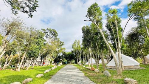 Φωτογραφία από το άλμπουμ του Xuanmuju Campsite σε Luye