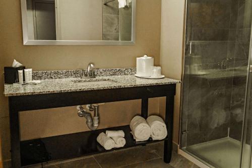 a bathroom with a sink and a shower and towels at Radisson Hotel Edmonton Airport in Leduc