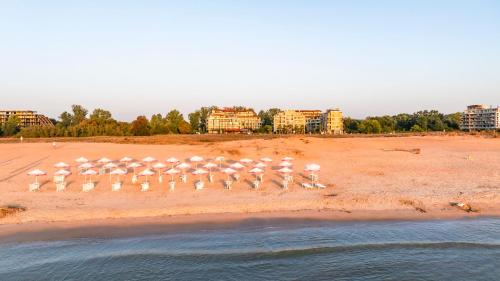 a group of flamingos standing on a beach at Aparthotel Hotel Prestige City II in Primorsko