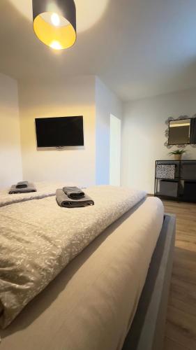 a bedroom with a bed and a flat screen tv at Apartmán Vita Deluxe in Trenčín