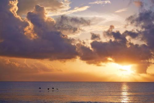 a group of people in the ocean at sunset at Viceroy Riviera Maya, a Luxury Villa Resort - Adults Only in Playa del Carmen