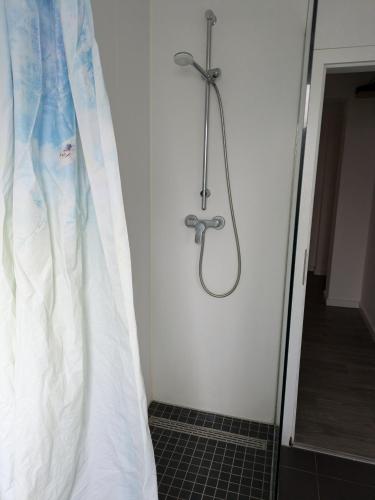 a shower with a shower curtain in a bathroom at NestOaseWHV Zentrale Zimmer zwischen City und Südstrand in Wilhelmshaven