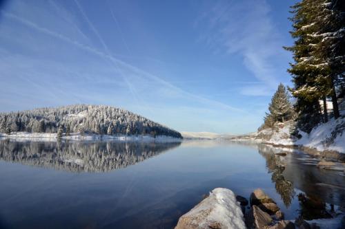 a view of a lake in the winter with trees at Seehotel Hubertus in Schluchsee