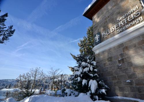 a snow covered tree in front of a building at Seehotel Hubertus in Schluchsee