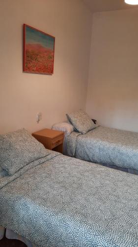 ein Zimmer mit zwei Betten und einem Bild an der Wand in der Unterkunft La Garsa in Aiguafreda