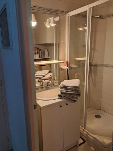 Koupelna v ubytování Le porquerolle