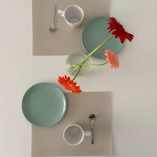 un gruppo di piatti e un fiore rosso in un vaso di Bella Canosa casa vacanza con 3 camere da letto e posto auto custodito a Canosa di Puglia