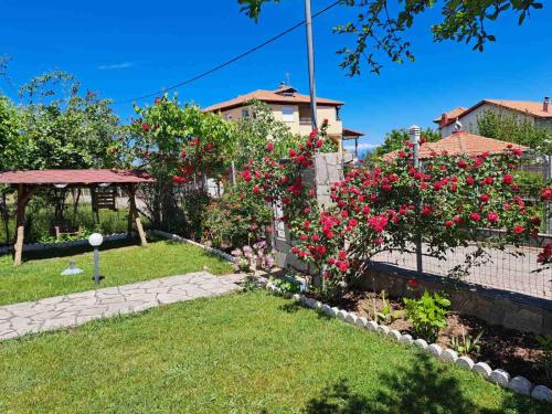 Κήπος έξω από το Villa Jenny