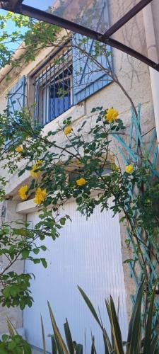 a building with a white gate with yellow flowers at Le colibri bleu in Argeliers