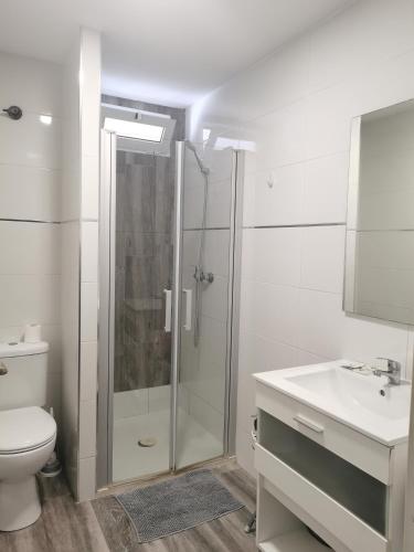 a bathroom with a shower and a toilet and a sink at Plaza Sainetero in Valencia