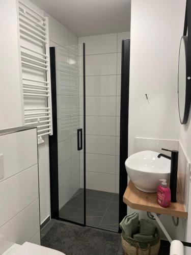 a bathroom with a shower and a white sink at Bigge Elements Gästezimmer 4 "Westen" 4 Personen in Olpe