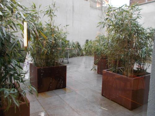 Κήπος έξω από το Brxxl 5 City Centre Hostel