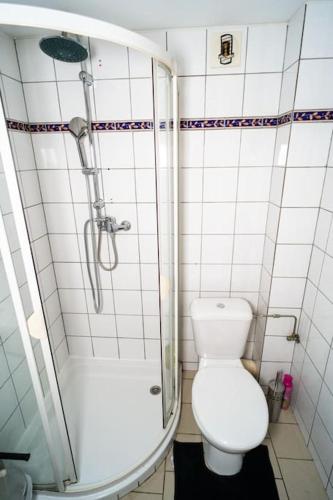 a bathroom with a shower and a white toilet at Refuge des Vignerons - Turckheim in Turckheim