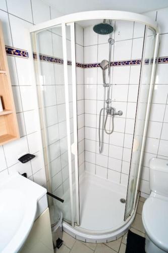 a bathroom with a shower and a toilet at Refuge des Vignerons - Turckheim in Turckheim