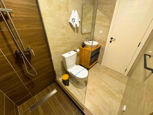 a small bathroom with a toilet and a sink at Eden Spa Apartman in Arandjelovac