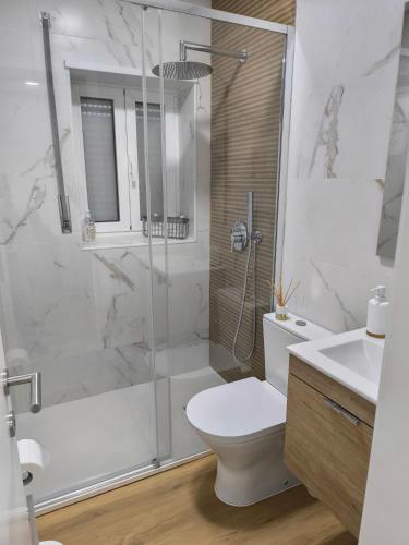 a bathroom with a shower and a toilet and a sink at Alojamento do Emílio in Gafanha da Encarnação